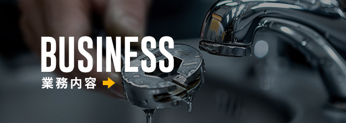 bnrhalf_business_off